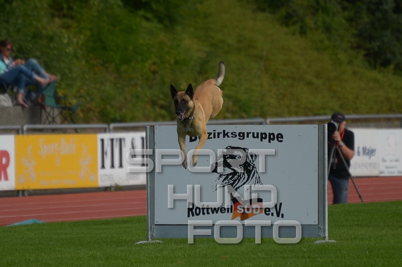 21 B 048.jpg